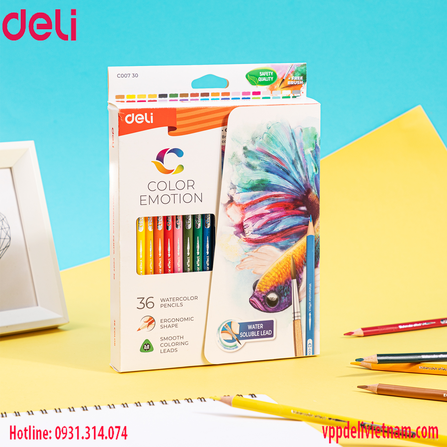Bút chì màu nước 36 màu Deli-EC00730 - Ảnh 3